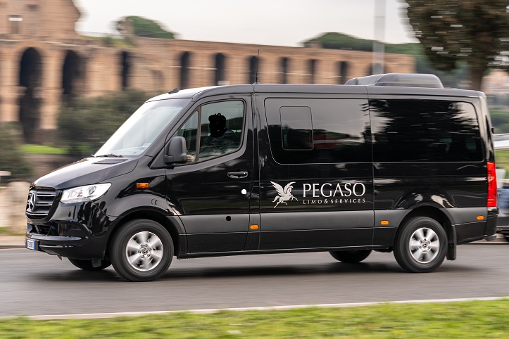 Mercedes Sprinter VIP